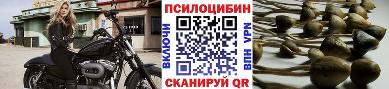 Галлюциногенные грибы Psilocybe  закладка  Алупка 