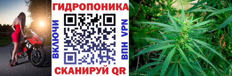 kraken ONION  Алупка  Шишки марихуана гибрид 
